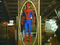 Spiderman Costume